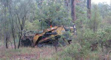 Excavator Clearing Trees