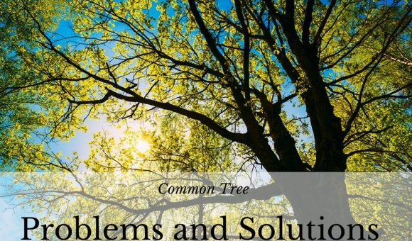 Common Tree Problems and Solutions.JK